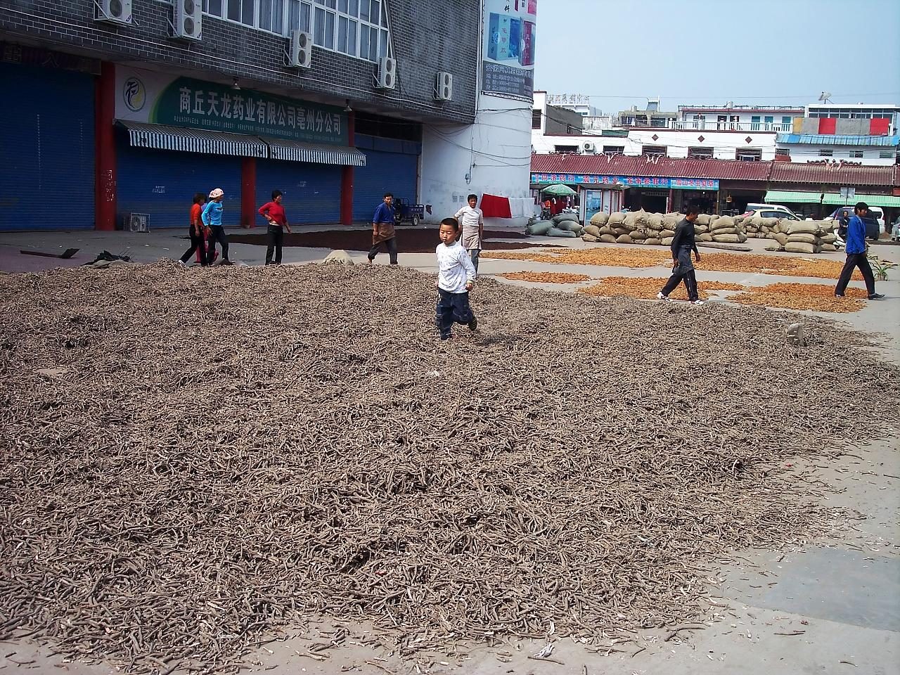 Chinese Traditional Medicine Market